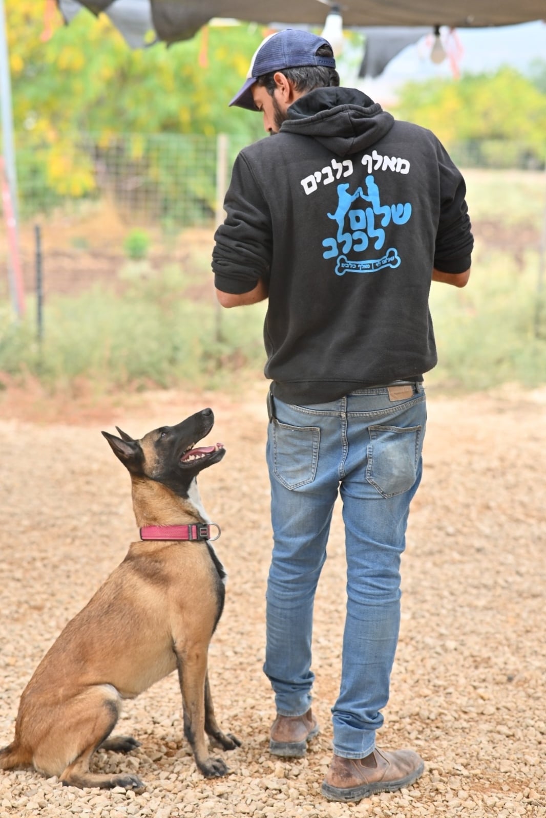 מרכז ״שלום לכלב״